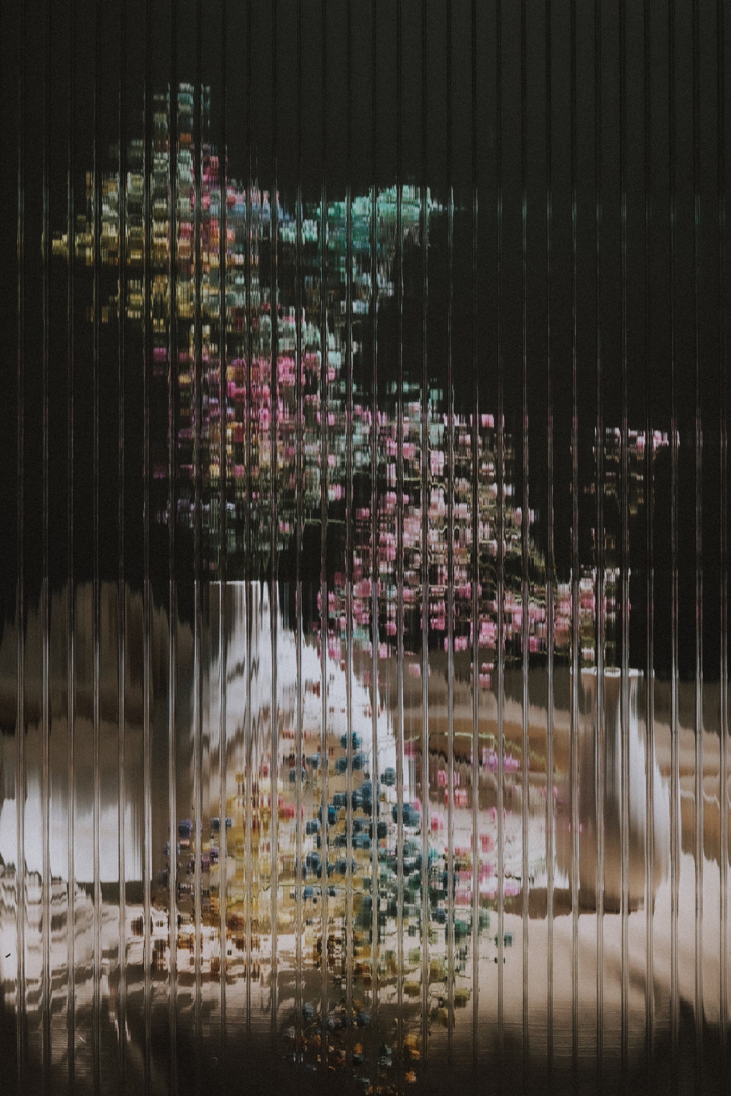 Bloom Obscura by Woody Roseland & Mackenzie Roseland