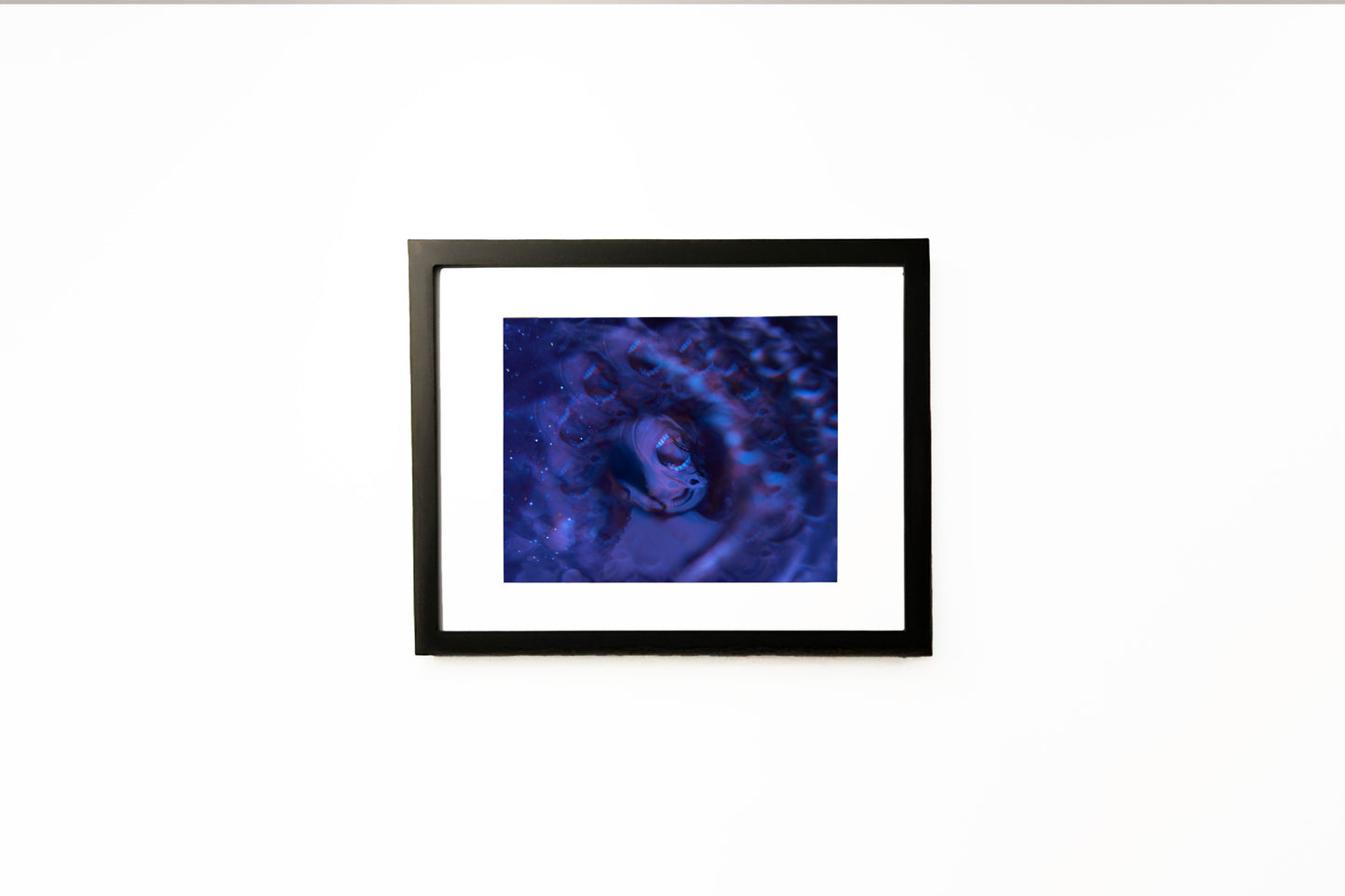 Hailey Christensen 001 - 8x10 Original Print