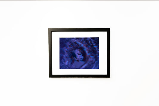 Hailey Christensen 001 - 8x10 Original Print