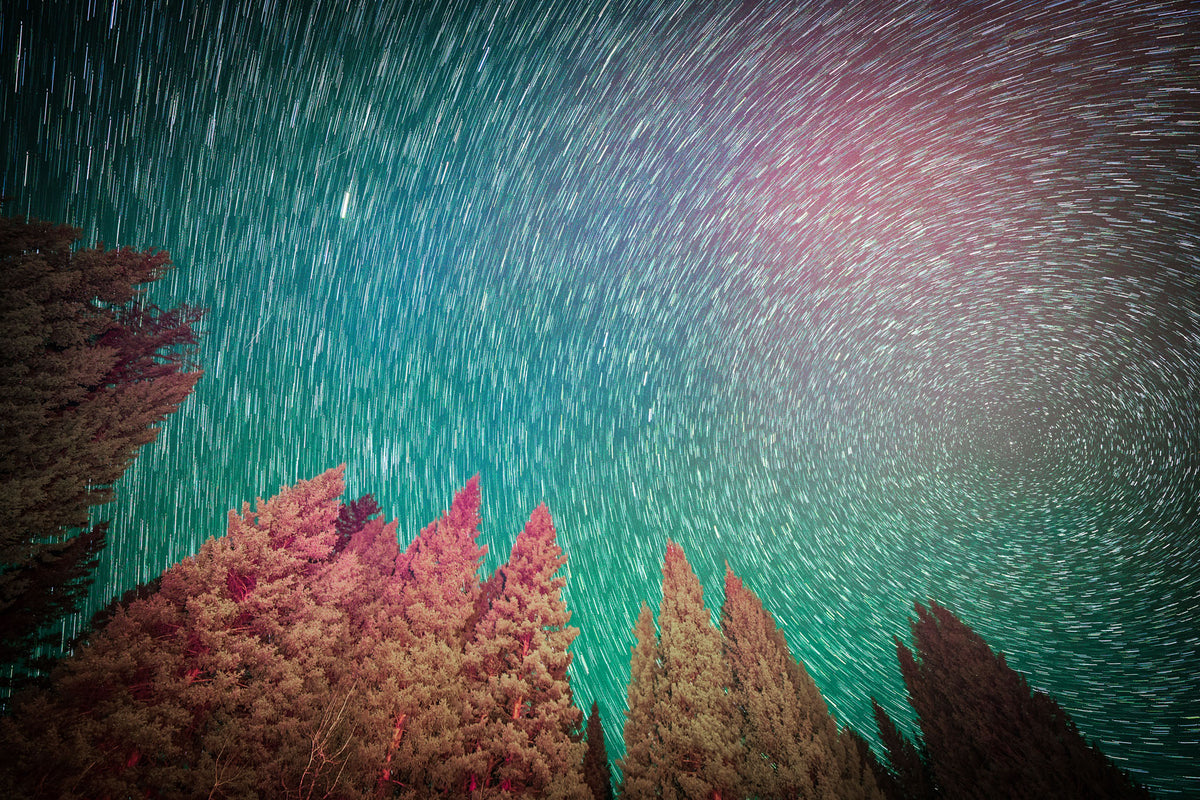 004 - Owl Creek Orbit by Samuel Silkworth