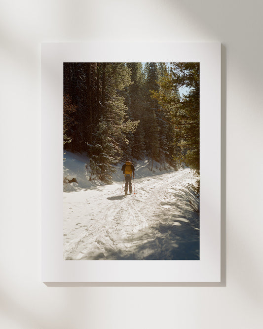 "The Path" by Ryan Sheetz