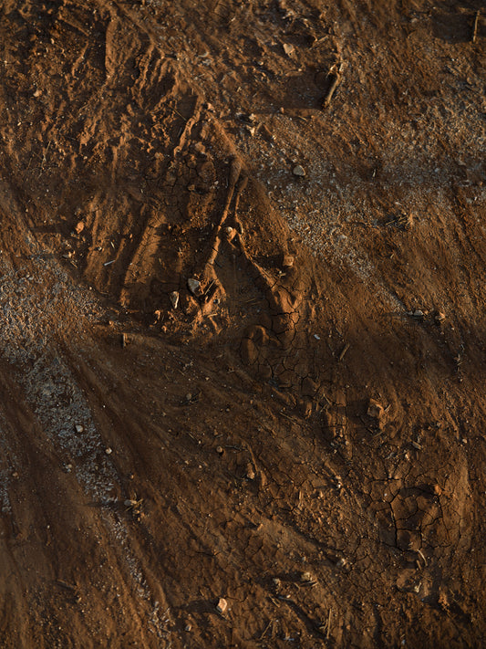 002 - Ian Warren - Drought