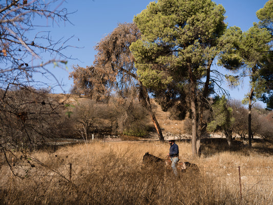 002 - Ian Warren - Out To Pasture