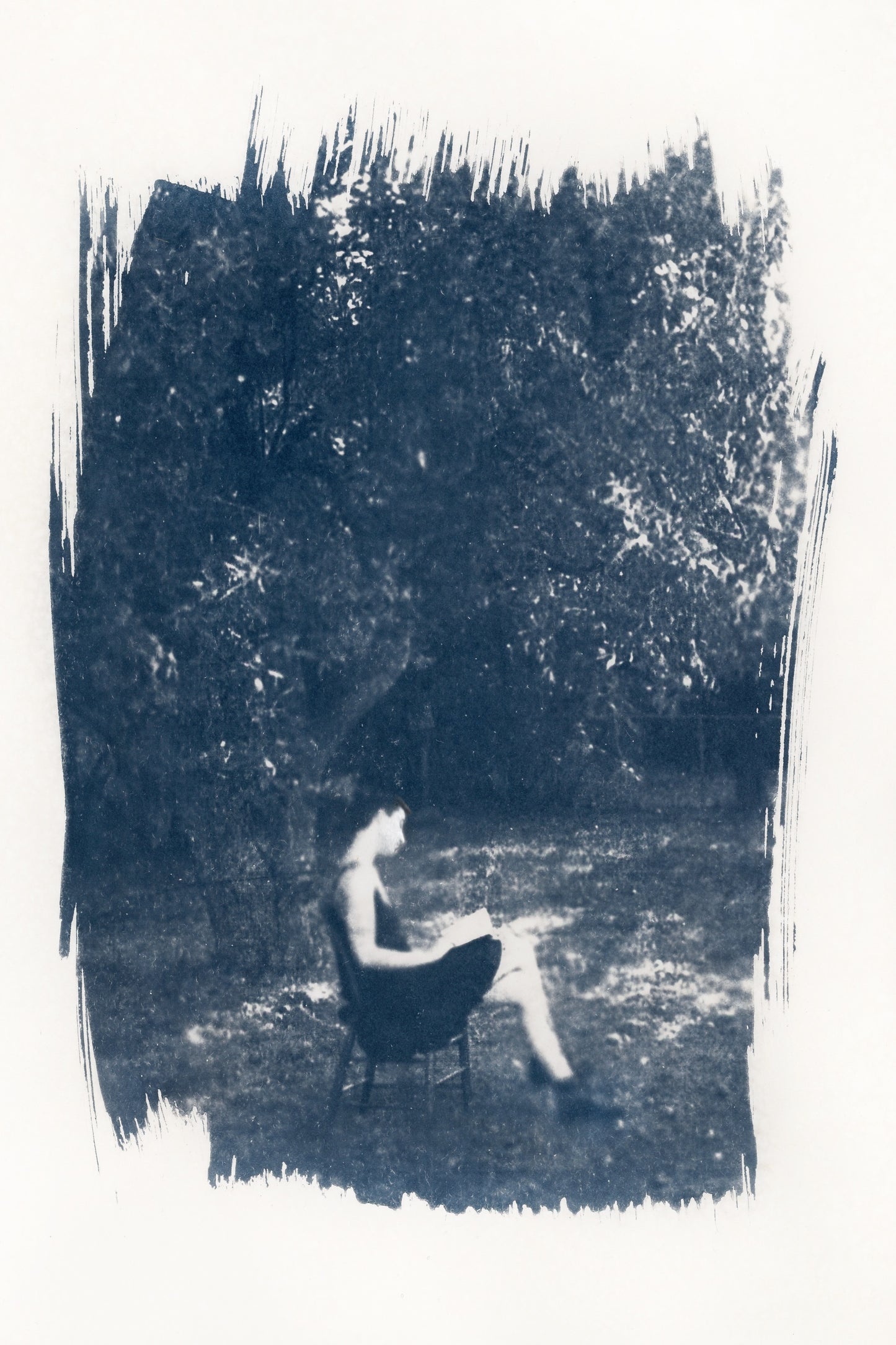 Between Pages and Leaves by Elisabeth Gordon