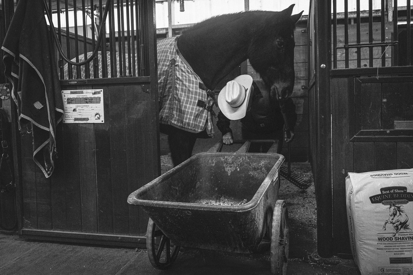 002 - Camron Ramirez - First Light