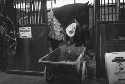 002 - Camron Ramirez - First Light