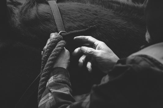 002 - Camron Ramirez - Hands That Built the West