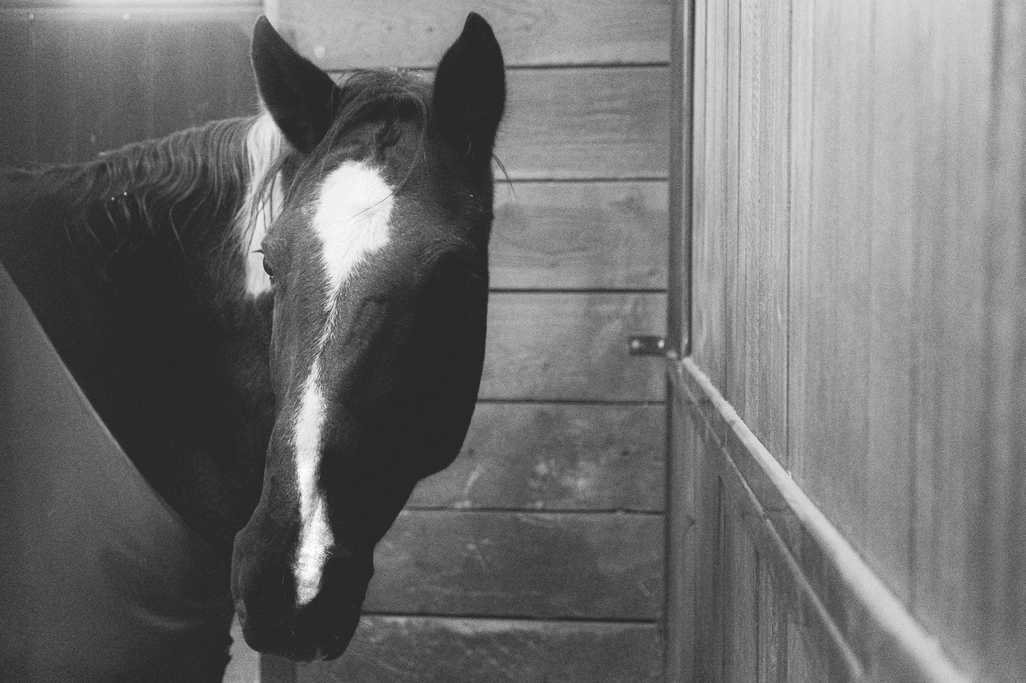 002 - Camron Ramirez - Quite Company