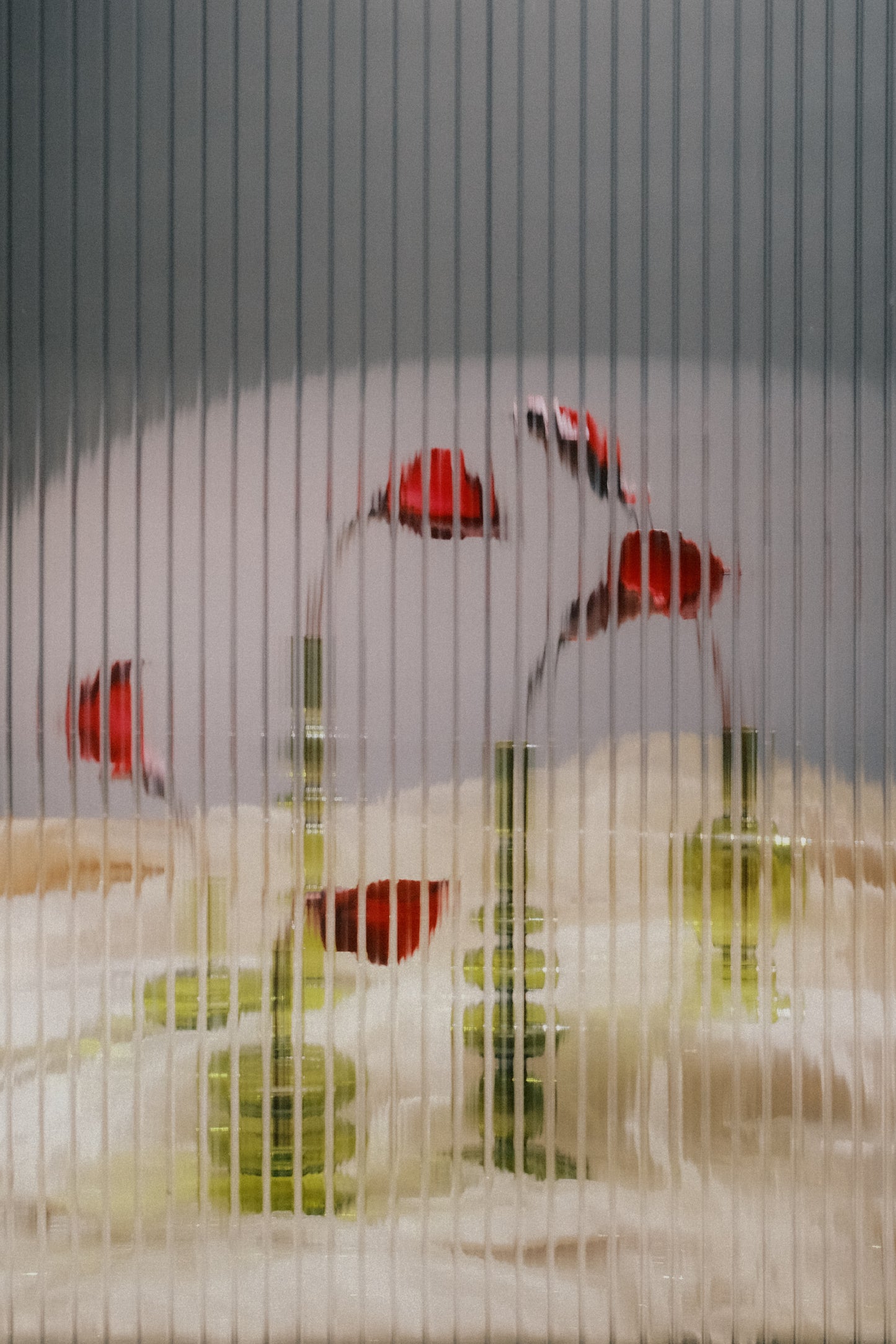 Everything in its Right Place by Woody Roseland and Mackenzie Roseland