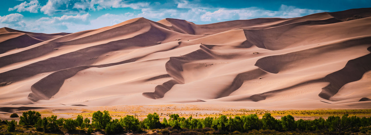 004 - Dune Rhythm by Samuel Silkworth