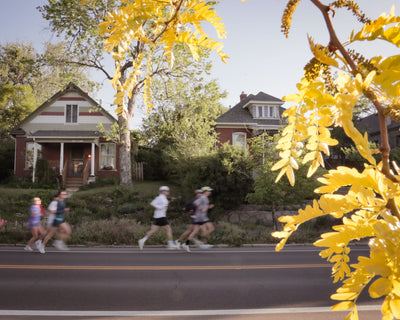 Devon Hanley - Morning Movement - 8x10 Original Print