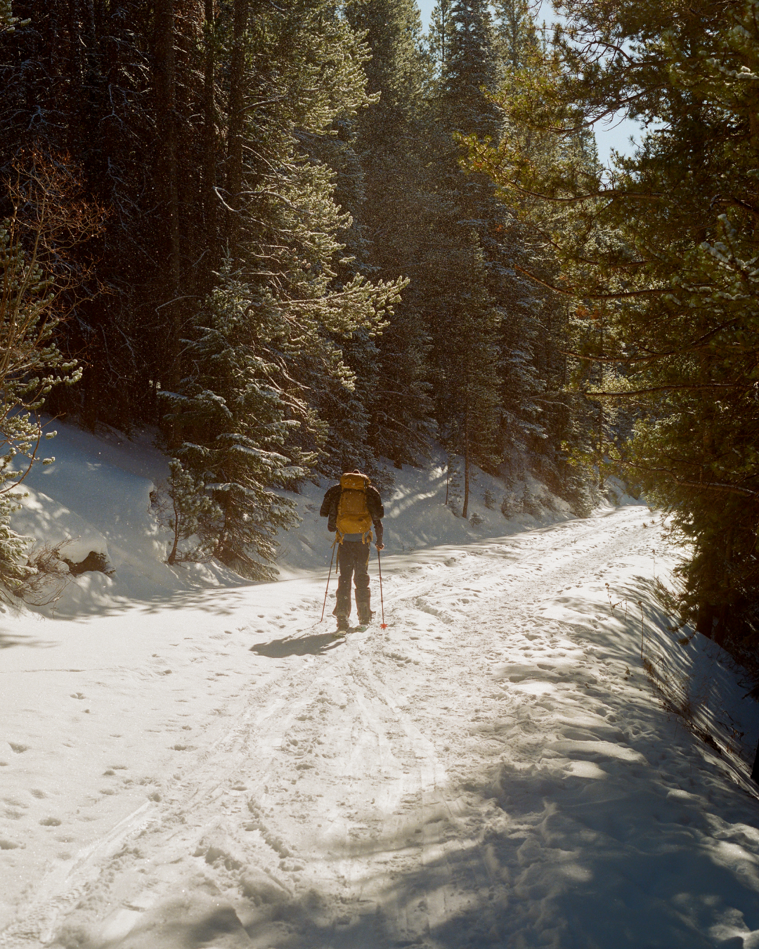 "The Path" by Ryan Sheetz